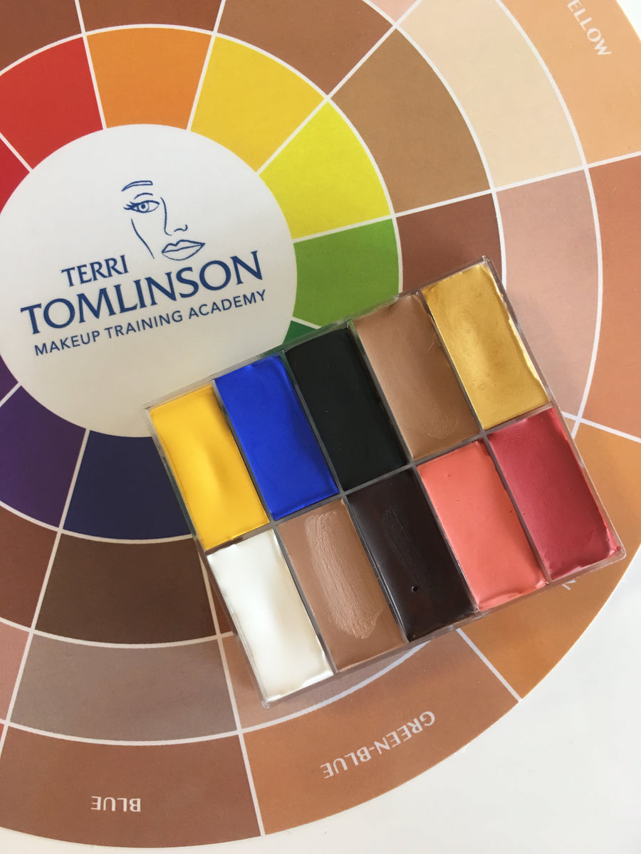 The Flesh Tone Color Wheel® – Terri Tomlinson Makeup 101